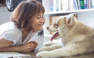 Beneficios de tener una mascota