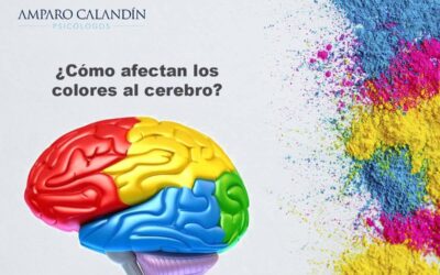 Efectos fisiológicos y psicológicos del color en tu cerebro