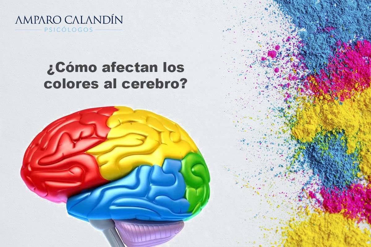 como afectan los colores al cerebro como afectan los colores al cerebro
