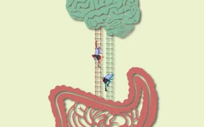 ¿Sabes cuál es tu segundo cerebro?