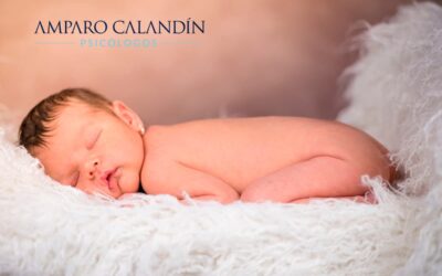 Guía del desarrollo infantil desde el nacimiento hasta los 12 meses