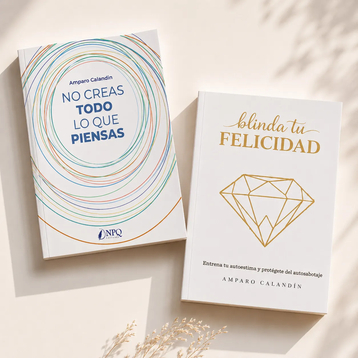 imagenes libros amparo ccalandin