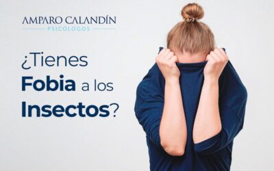 Entomofobia o Fobia a los insectos: Causas y Cómo superarlo