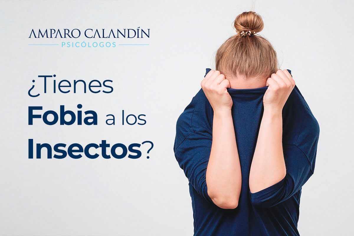 miedo a los insectos