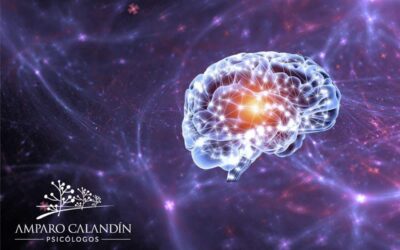 La Neurogénesis y regeneración de las neuronas en adultos