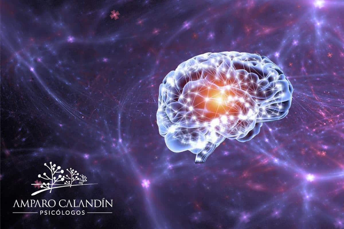 neurogenesis adulta (1) neurogenesis adulta
