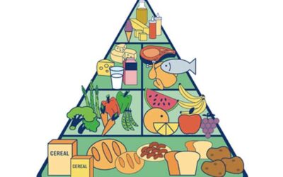 ¿Cuál es la pirámide de alimentación de nuestros hijos/as?