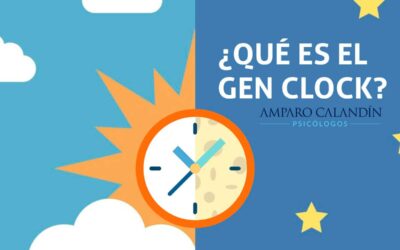 ¿Conoces el «gen clock»?