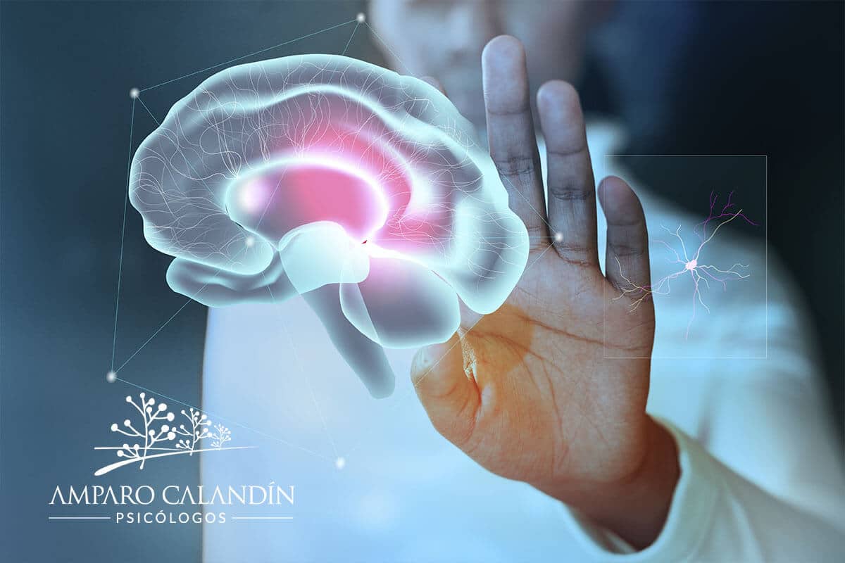 tipos de memoria psicologia tipos de memoria psicología
