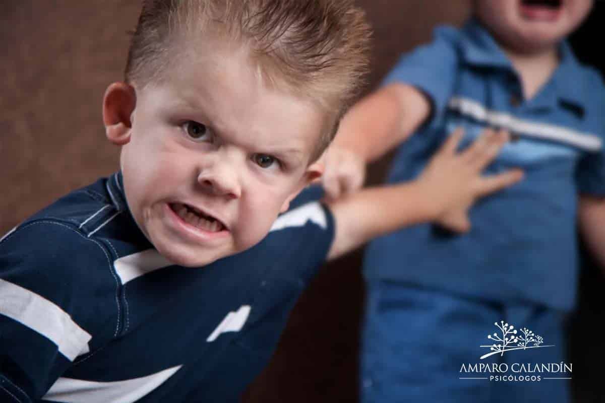 trastorno de conducta niños