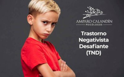 Trastorno Negativista Desafiante: Toda la verdad